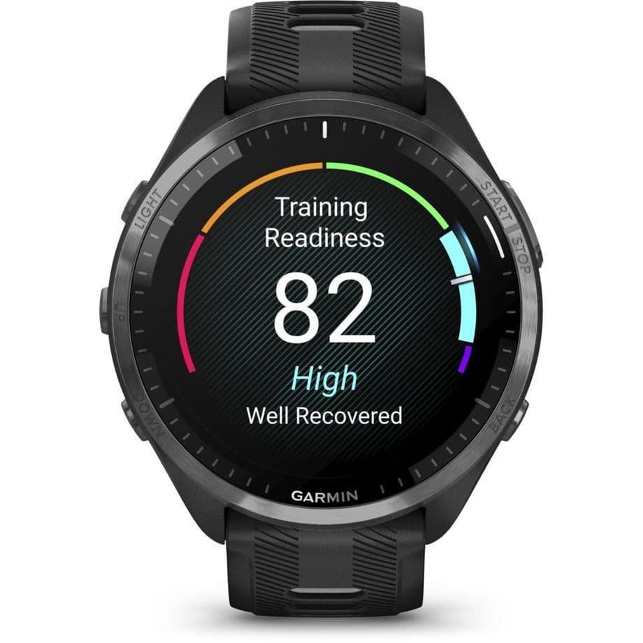 Garmin Forerunner 965 Black/Powder Grey