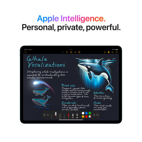 Apple 2025 iPad Air 13  Wifi 128GB Space Grey
