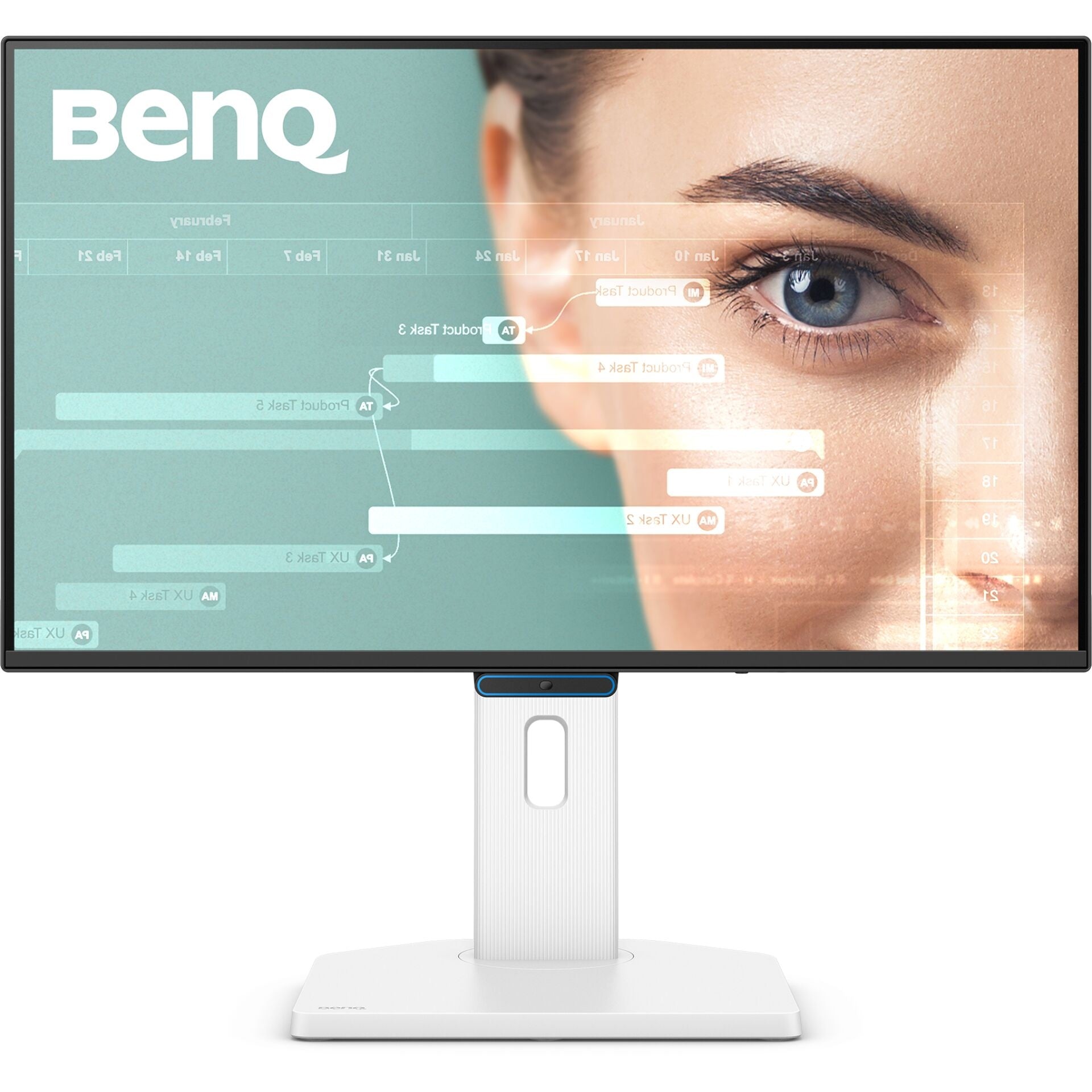 BenQ GW2490TC 24-inch Premium Everyday Monitor