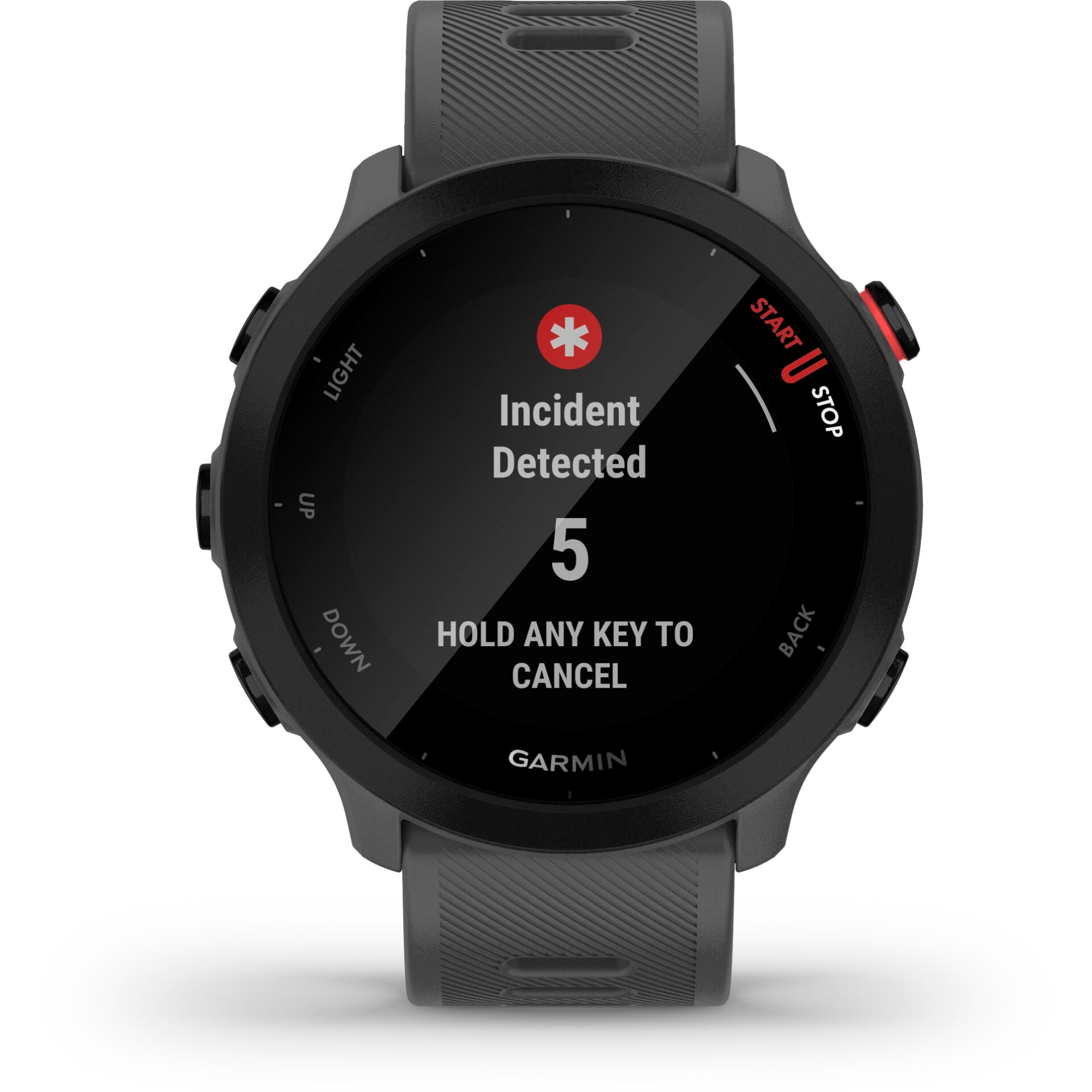 Garmin Forerunner 55 Grey