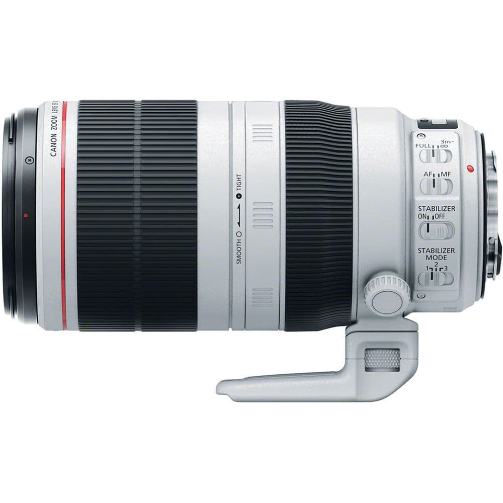 Canon EF 100-400mm f4.5-5.6L IS II USM + Canon Extender EF 1.4x III