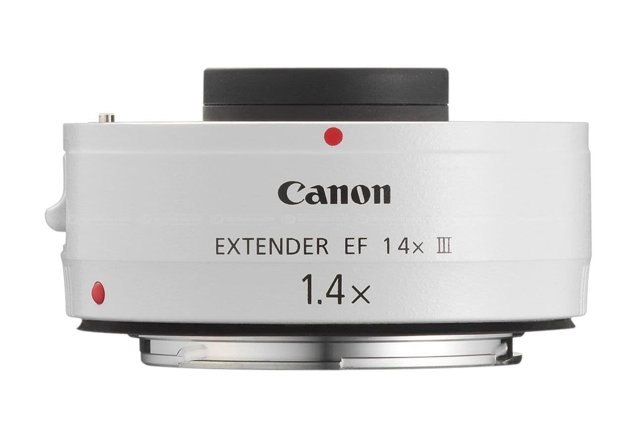 Canon EF 100-400mm f4.5-5.6L IS II USM + Canon Extender EF 1.4x III