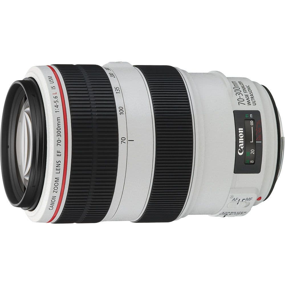 Canon EF 70-300mm f/4.0-5.6 L IS USM