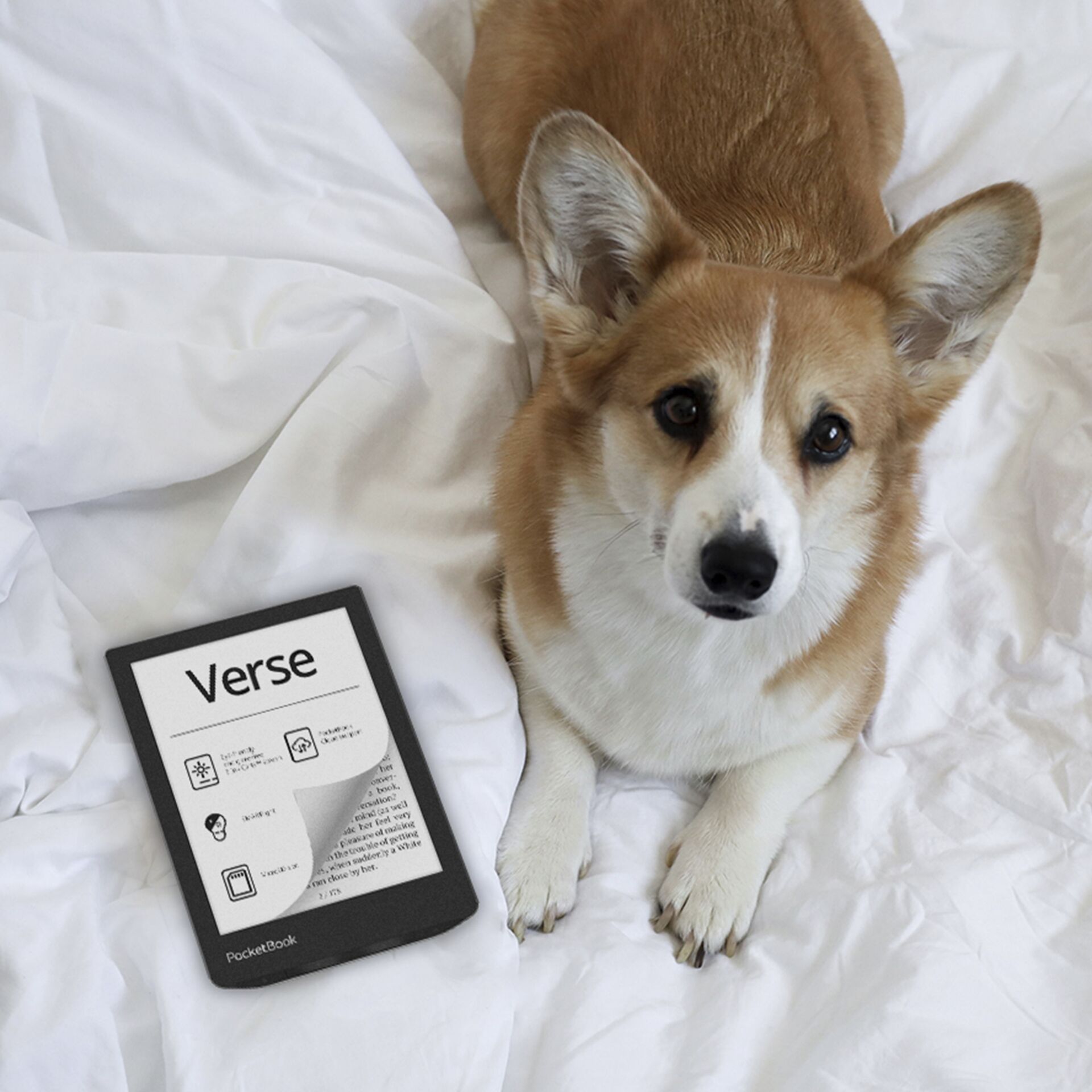 PocketBook Verse Mist Grey