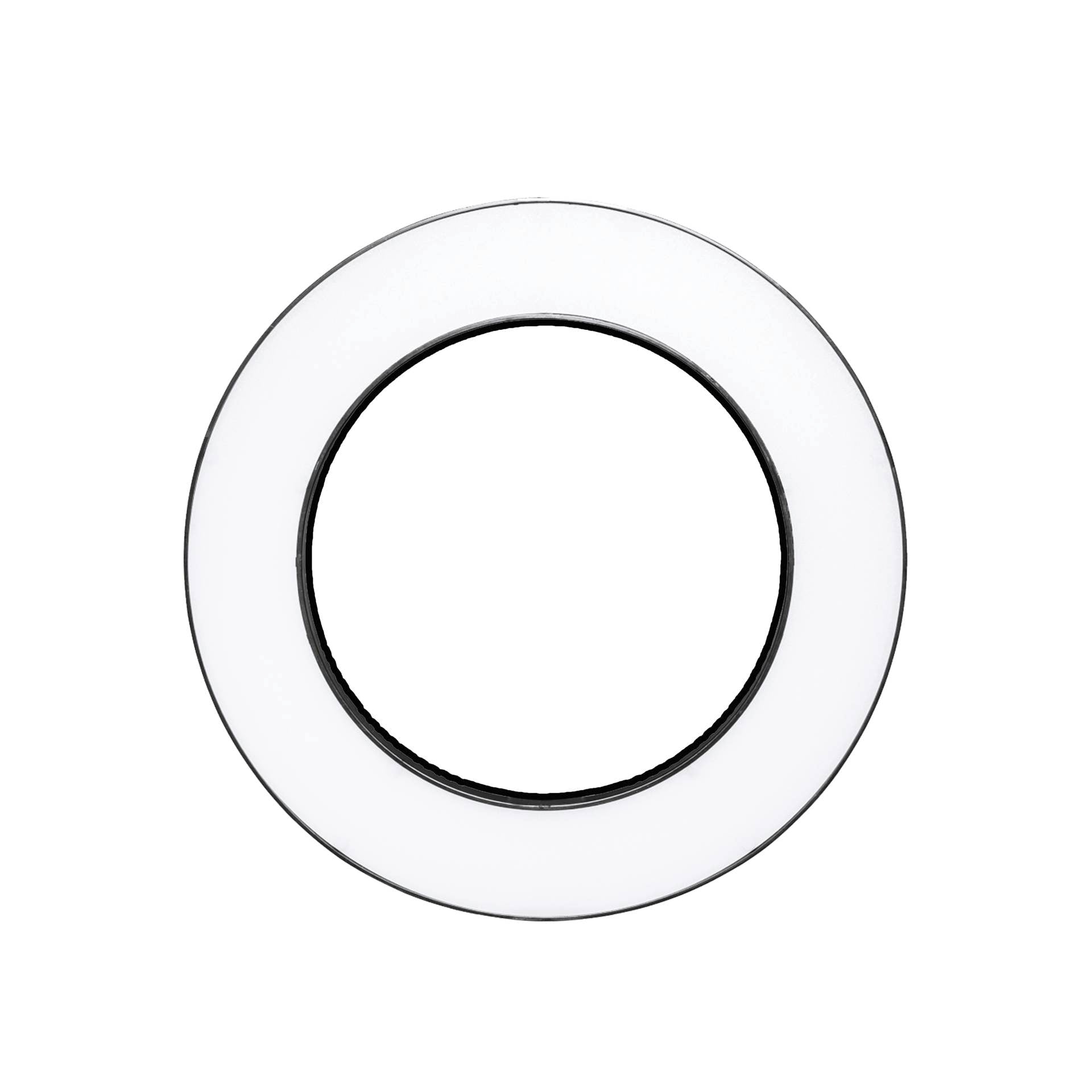 Easypix MyStudio Green Screen