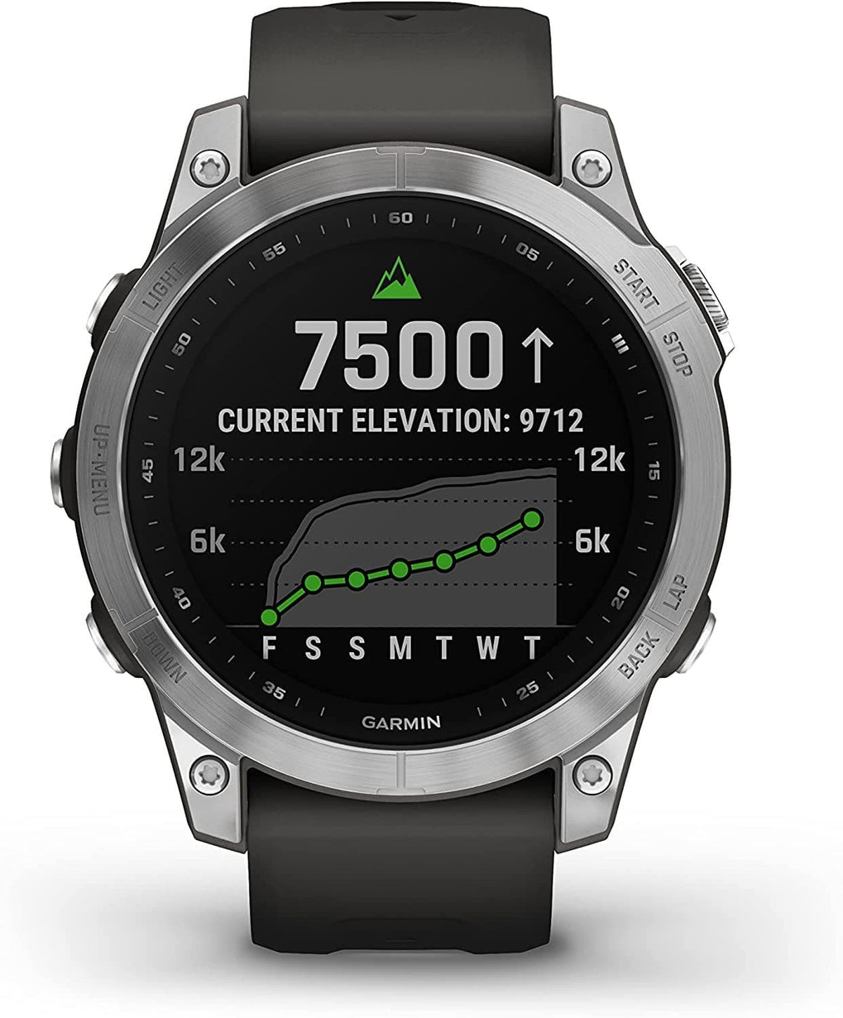 Garmin Fenix 7 Silver/Graphite