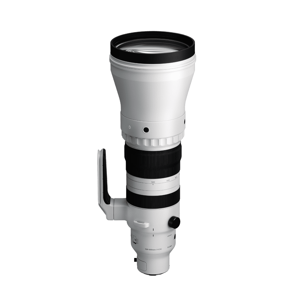 Sigma 300-600mm F4 DG OS | S | Leica Fit