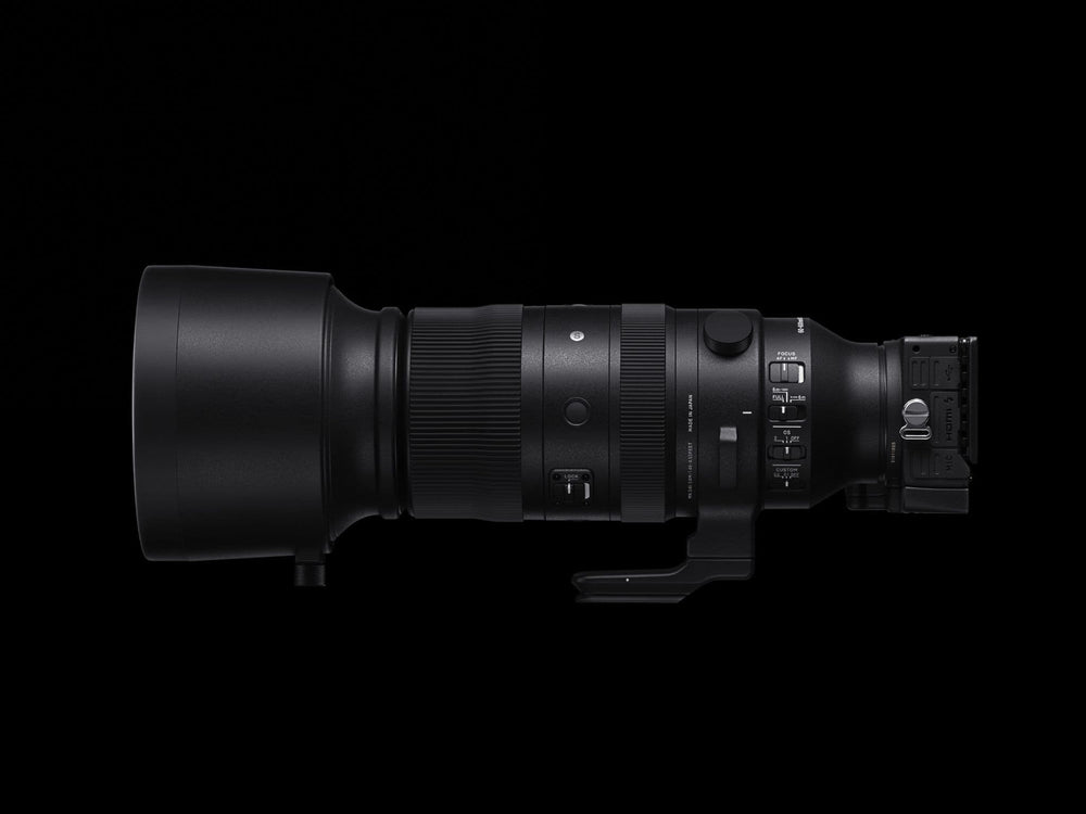 Sigma 60-600mm F4.5-6.3 DG DN | S | Leica Mount