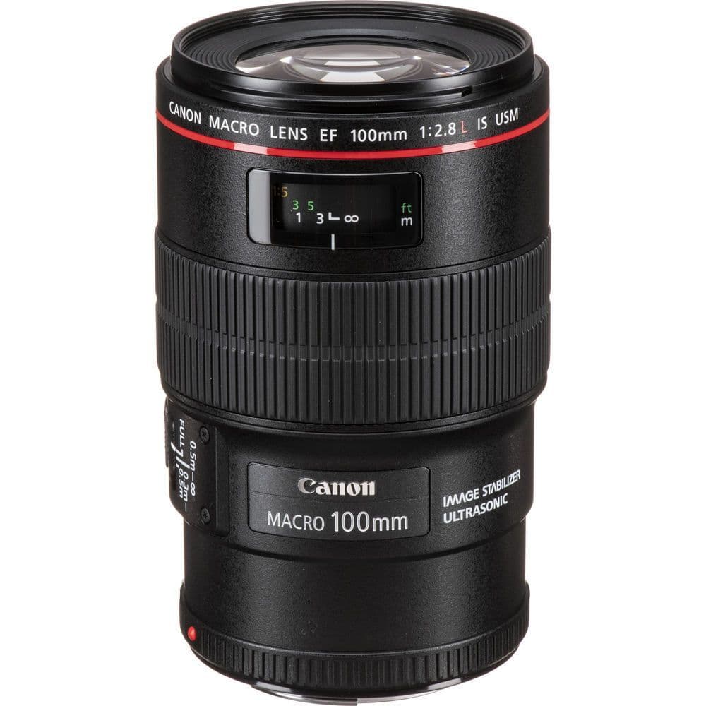 Wedding Essentials Lens Bundle (Canon)